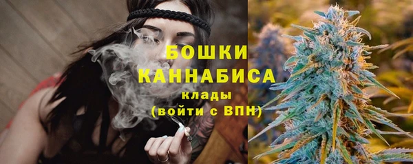 ГАЛЛЮЦИНОГЕННЫЕ ГРИБЫ Кулебаки