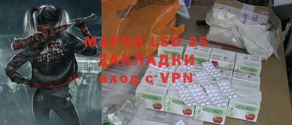 ГАЛЛЮЦИНОГЕННЫЕ ГРИБЫ Кулебаки