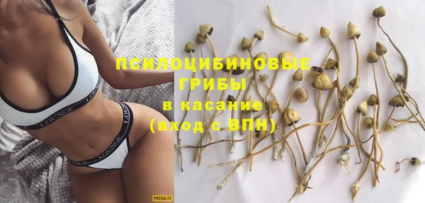 прущие крисы Красноперекопск