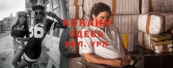 ГАЛЛЮЦИНОГЕННЫЕ ГРИБЫ Кулебаки