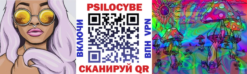 дарк нет формула  Малгобек  Галлюциногенные грибы Psilocybe 