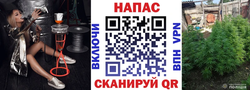 магазин продажи   KRAKEN как войти  Каннабис MAZAR  Малгобек 